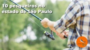 10 pesqueiros no estado de São Paulo melhores pesqueiros de sp