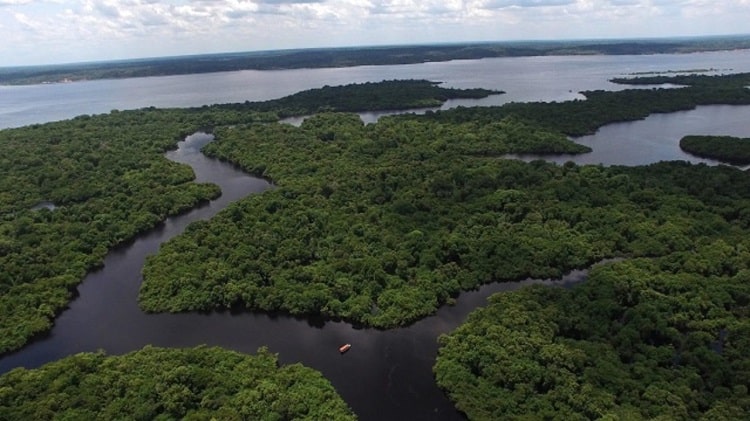 Rio Amazonas destinos de pesca