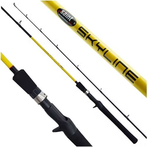 10 best Fishing Rods brands in the World - Pescaria S/A