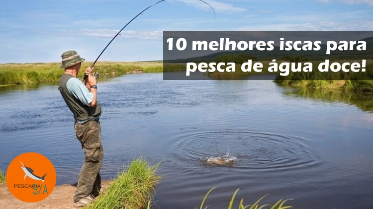 10 melhores iscas para pesca de água doce