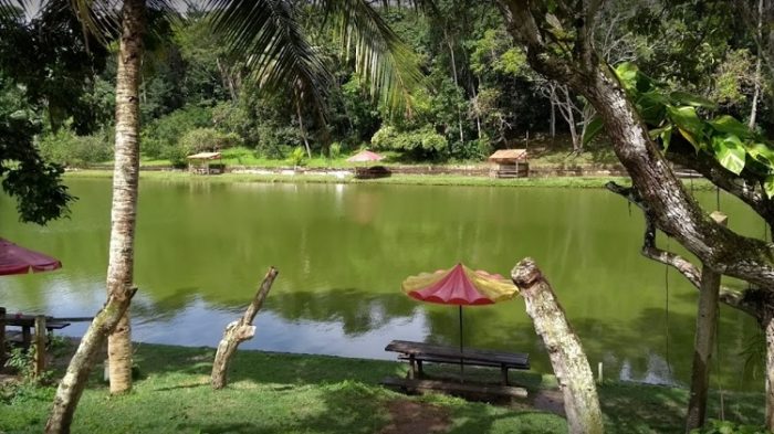 5 melhores pesqueiros (Pesque e Pague) da Bahia - Pescaria S/A