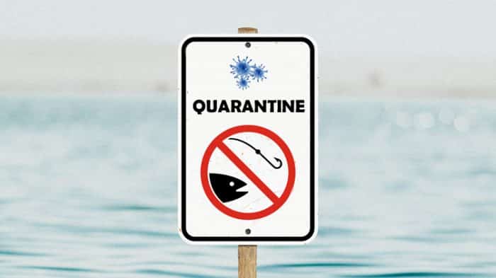 fishing in the quarantine covid-19