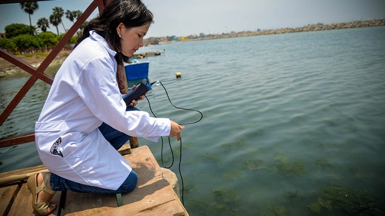 O que é Engenharia de Pesca e onde estudar? - Pescaria S/A