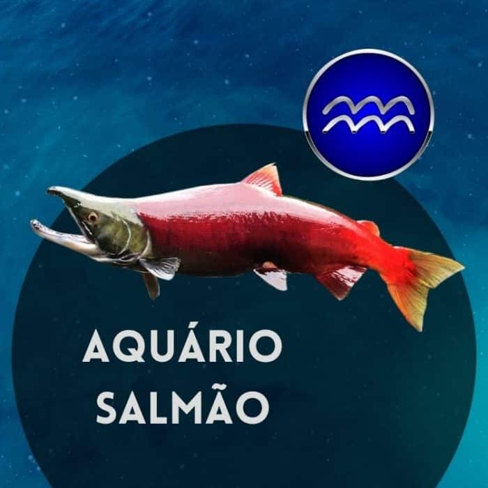 signo aquário peixe salmão