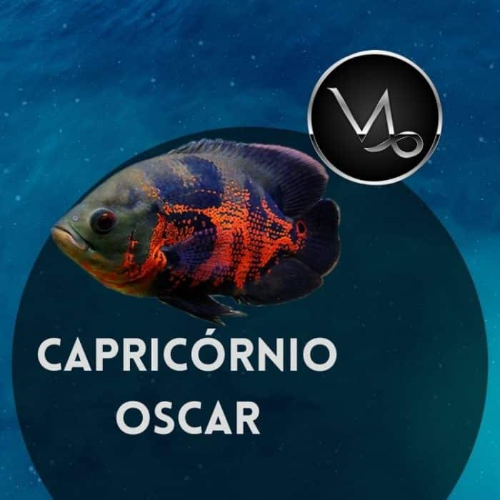 signo capricórnio peixe oscar