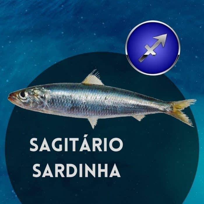 signo sagitário peixe sardinha