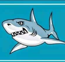 pesqueiro tubarão gravataí