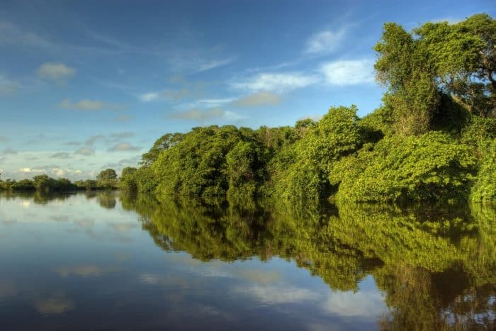 principais rios do pantanal
