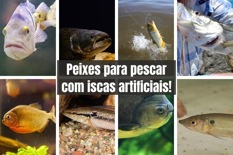peixes para pescar com iscas artificiais no brasil