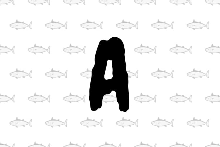 Descubra 10 peixes fascinantes cujos nomes começam com a letra A. Mergulhe no mundo aquático e explore suas características e curiosidades.