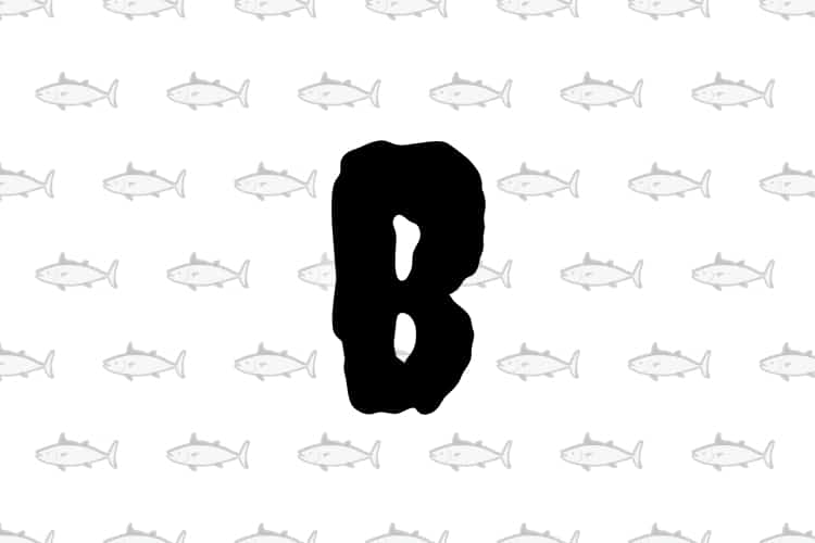 10 peixes fascinantes que começam com a letra B. De bacalhau a bichir, mergulhe no mundo aquático e conheça essas espécies incríveis.