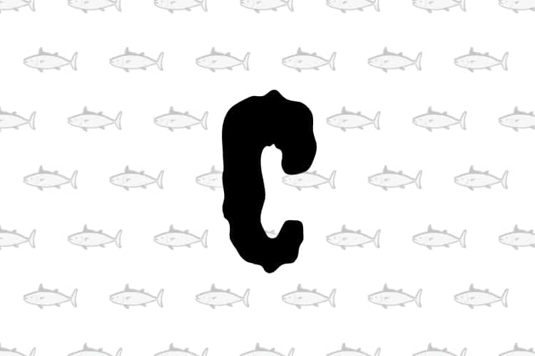 10 espécies de peixes que começam com a letra C. De água doce a salgada, mergulhe na diversidade da vida marinha com este guia detalhado.
