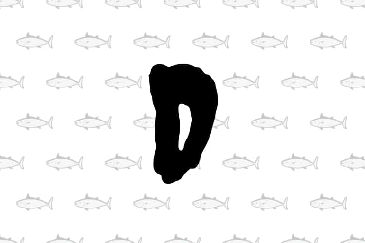 Descubra 10 peixes com nomes que começam com a letra D, desde espécies brasileiras até exóticas do mundo. Mergulhe nessa exploração aquática!