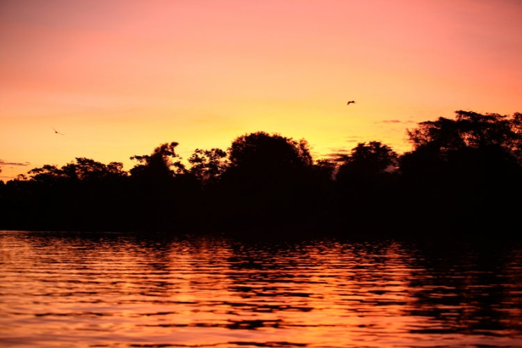 5 lugares top para pescar em Goiás, do Rio Araguaia a Montes Claros. Uma jornada de aventura, tranquilidade e belas paisagens.
