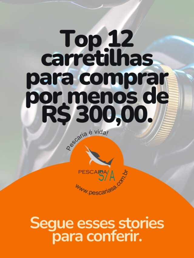 Top 12 carretilhas para comprar por menos de 300 reais