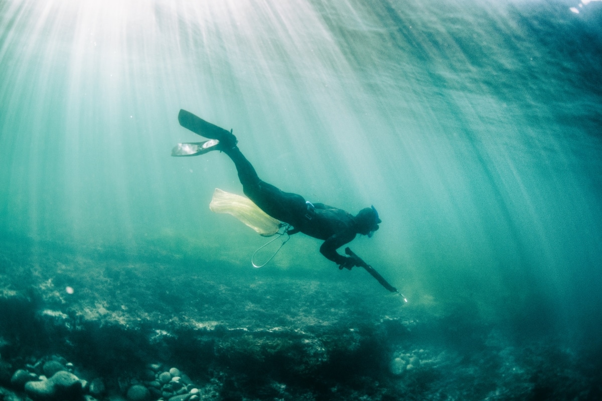 Explore as melhores opções de arbalete para pesca subaquática: inovação, qualidade e durabilidade para uma experiência de mergulho excepcional.