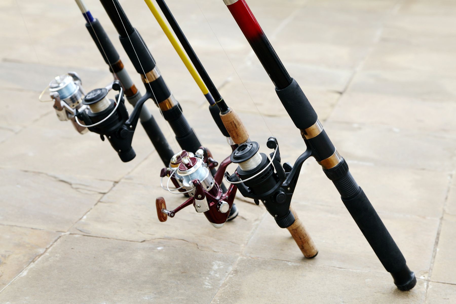Descubra como a escolha da vara de pesca certa pode transformar sua experiência de pesca, influenciando no sucesso e na captura de peixes.