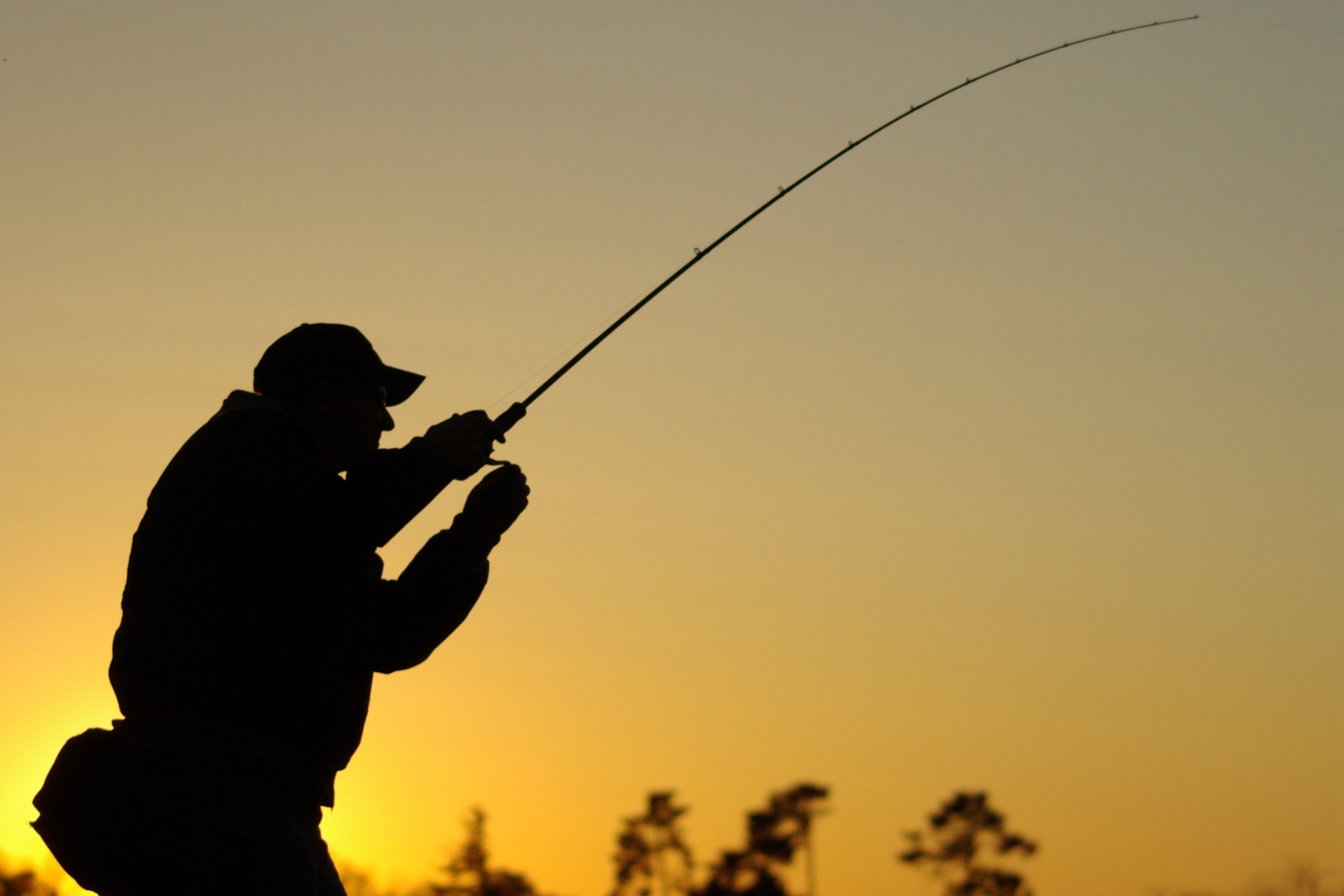 Conheça a nova lei no Amazonas que reconhece a pesca esportiva como esporte, promovendo sustentabilidade e turismo.