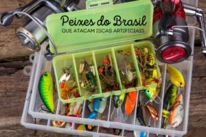 Descubra as melhores iscas artificiais para capturar dez espécies de peixes no Brasil, como traíra, tucunaré e robalo. Aperfeiçoe sua pesca.