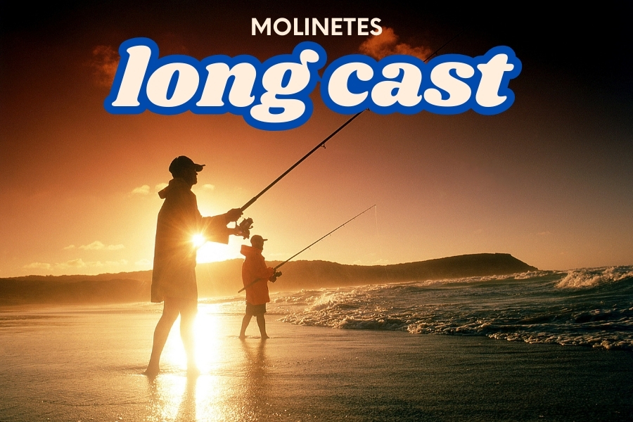 Descubra as 10 melhores marcas de molinetes long cast para pesca de praia. Equipamentos de qualidade, tecnologia e custo-benefício!