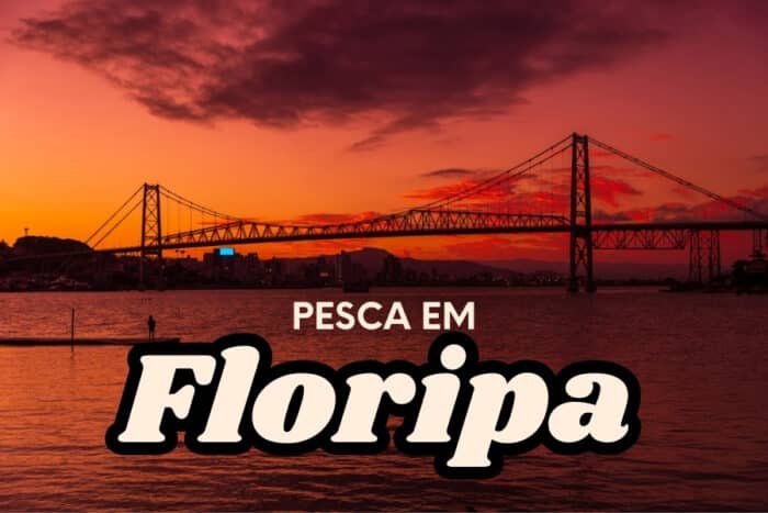 Explore os melhores lugares para pescar em Florianópolis, desde praias tranquilas até lagos e pontos históricos. Aproveite a rica fauna local!