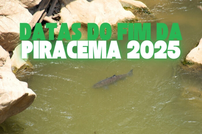 Saiba quando termina a piracema e a pesca será liberada em 2025. Confira as datas em cada estado e prepare-se de forma responsável.