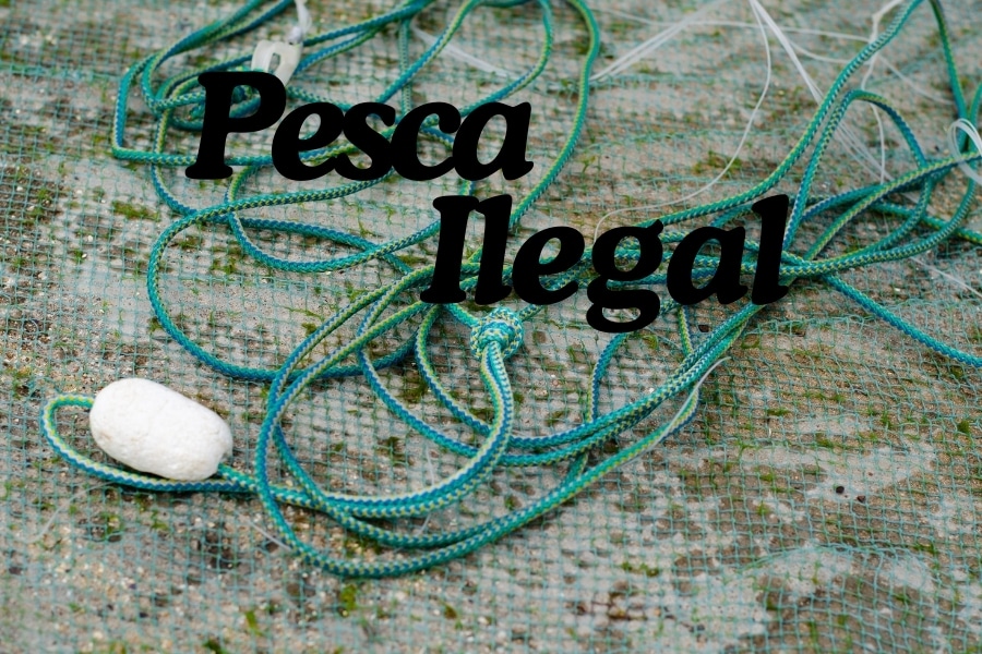 Saiba por que a pesca ilegal na piracema é um problema, seus impactos ambientais e como combatê-la para preservar os ecossistemas aquáticos.