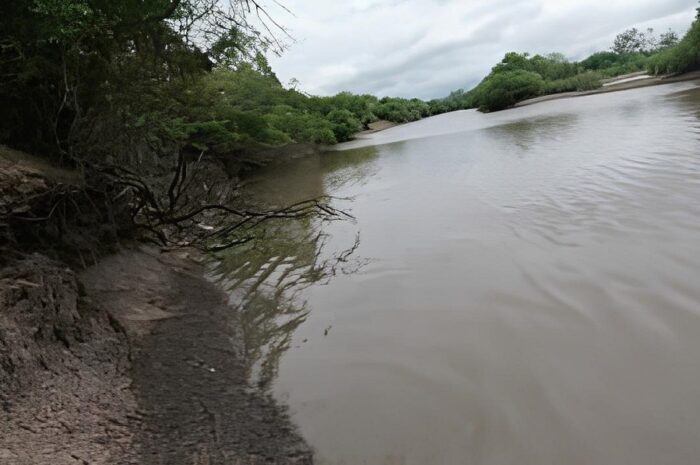 Baixo nível, assoreamento e poluição ameaçam o Rio Gravataí e a pesca pós-piracema 2025. Conheça os desafios e soluções para salvar o rio.