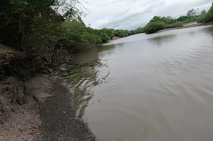 Baixo nível, assoreamento e poluição ameaçam o Rio Gravataí e a pesca pós-piracema 2025. Conheça os desafios e soluções para salvar o rio.