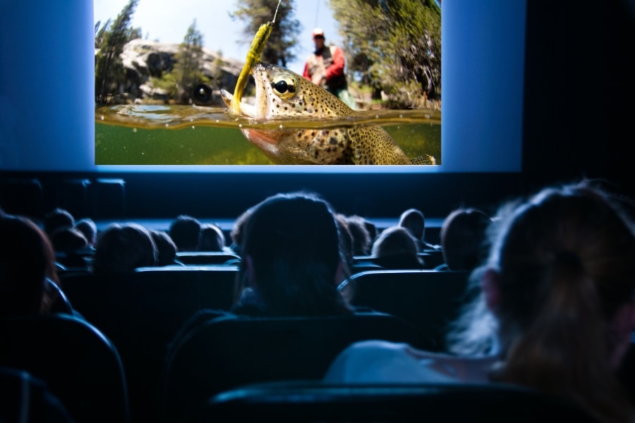 10 filmes sobre pesca que todo pescador precisa assistir: uma seleção inspiradora com histórias emocionantes, superação e contemplação.