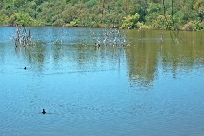 Explore as bacias hidrográficas do RS, sua importância ecológica, potencial para pesca esportiva e como são divididas em 25 áreas.