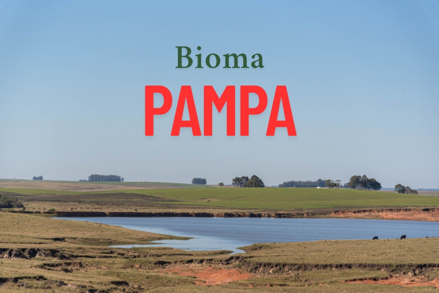 Entenda como o Bioma Pampa influencia a pesca esportiva e o comportamento de peixes nos rios e lagoas do sul do Brasil.