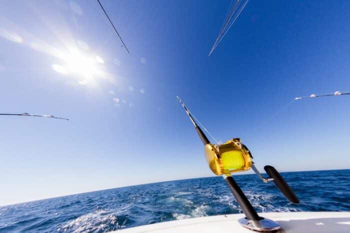 Descubra os peixes de mar que atacam isca artificial e saiba quais são os melhores tipos para capturar cada espécie com sucesso.