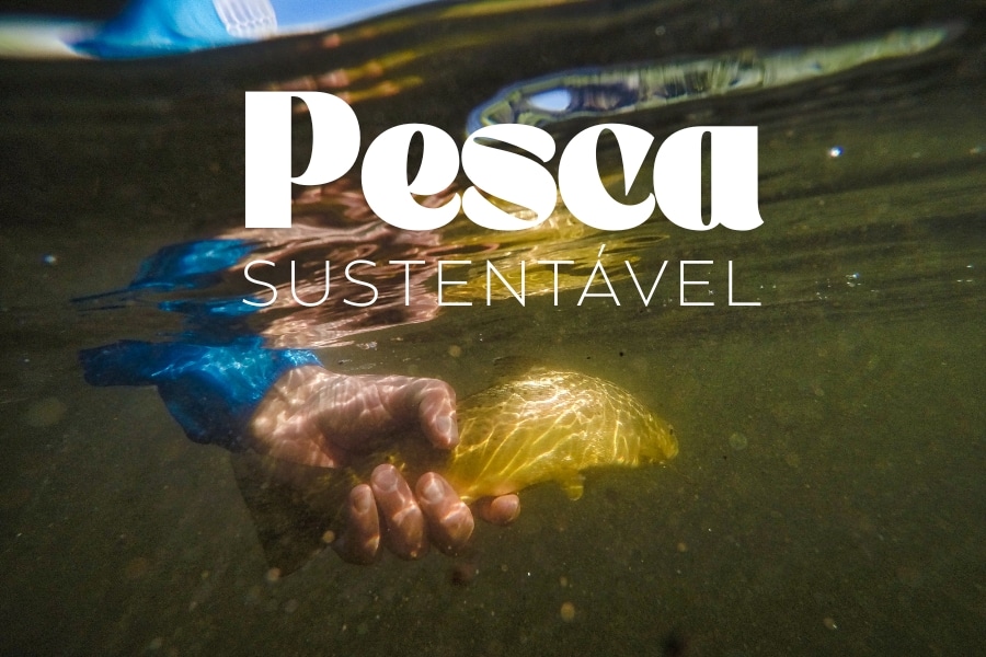 Saiba o que é pesca sustentável, sua importância e como aplicá-la na pesca artesanal, esportiva e comercial para preservar recursos naturais.