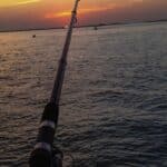 Descubra os 10 melhores rios do Brasil para pesca esportiva com base em preservação, peixes, turismo, estrutura e legislação ambiental.
