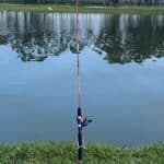 Pesqueiro: descubra o que é, como funciona e onde encontrar um perto de você. Lazer, pesca esportiva e sustentabilidade em um só lugar!
