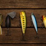 Descubra as melhores iscas de superfície para traíra, trairão, tucunaré, robalo e black bass na temporada primavera/verão 25/26 no Brasil.