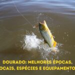 Tudo sobre o dourado: espécies, locais e épocas ideais no Pantanal, Argentina e Rio Uruguai, com destaque para a tuvira na pesca esportiva.