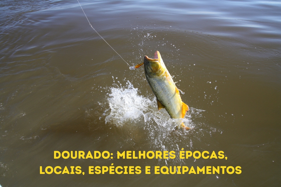 Tudo sobre o dourado: espécies, locais e épocas ideais no Pantanal, Argentina e Rio Uruguai, com destaque para a tuvira na pesca esportiva.