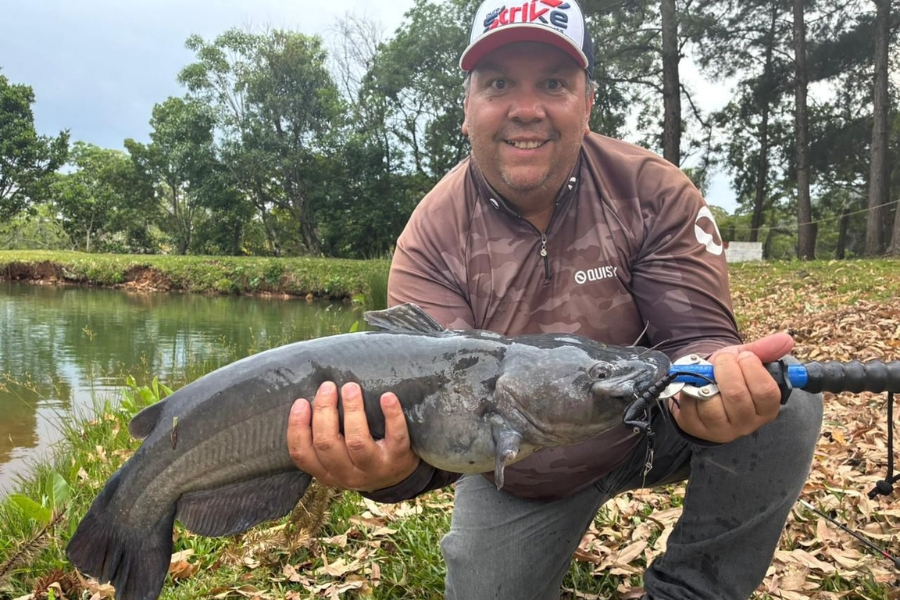 Catfish-Americano (Ictalurus punctatus): características, habitat, reprodução e dicas práticas para pescar esse bagre em pesqueiros.