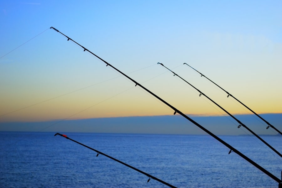 Evite erros ao escolher a vara de pesca ideal. Entenda libragem, ação, tamanho e material para molinete, carretilha, UL e surf casting.