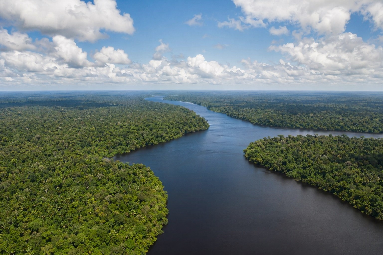 Descubra quanto custa uma pescaria na Amazônia com comparação completa entre Rio Negro, Madeira, Tapajós e Xingu e escolha o melhor destino.